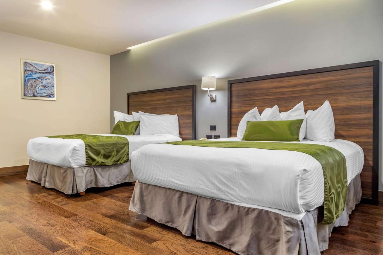Quality Inn Chihuahua San Francisco Экстерьер фото